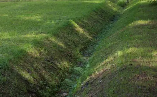 Making Your Ditch More Eco-Friendly - 