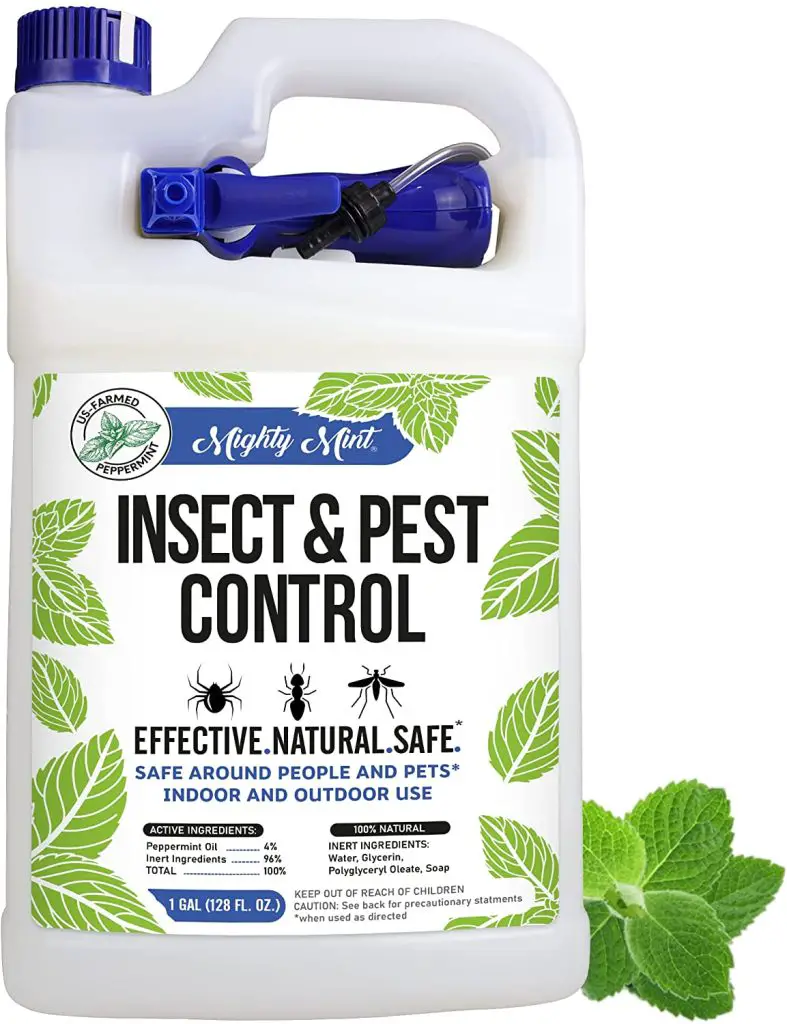 Mighty Mint Gallon Pest Control Peppermint Oil