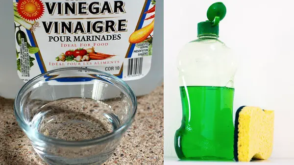 Vinegar and dish soap solution