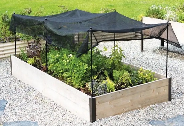 a makeshift shade tent for their plants. 