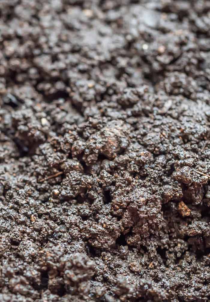 Hydrangeas hate soggy soil