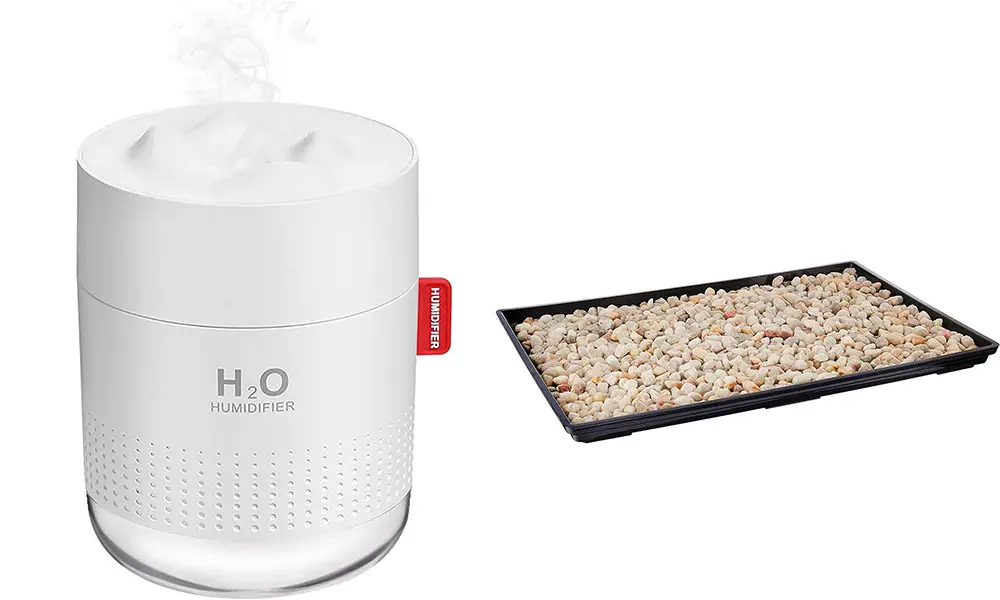 a smaller shelf humidifier or a humidity tray